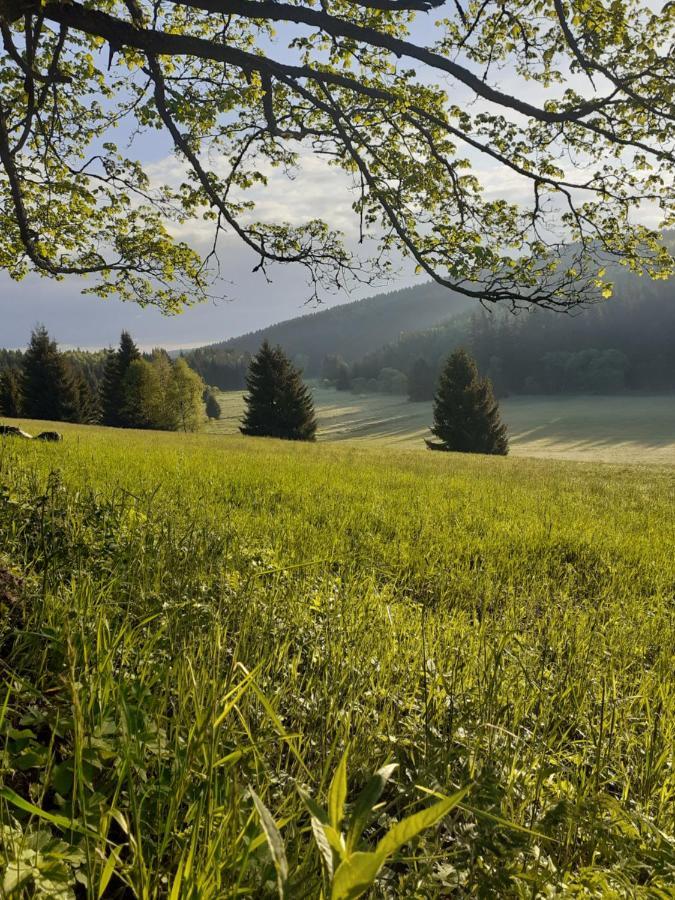 Villa Chalupa U Pratel Kovářská Exterior foto