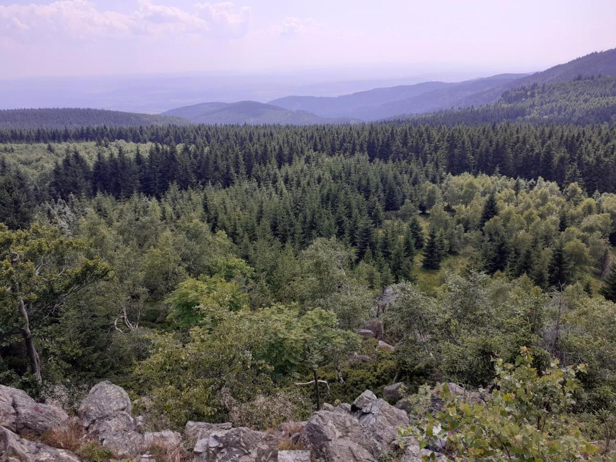 Villa Chalupa U Pratel Kovářská Exterior foto